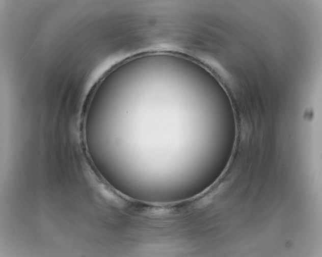 X0000091921278200709051432