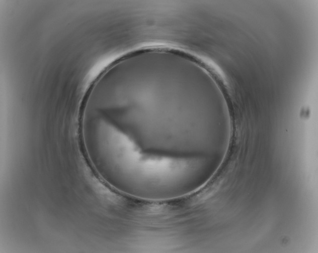 X0000091921279200709051432