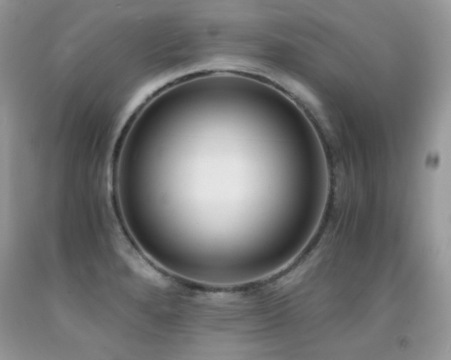 X0000091921280200709051432