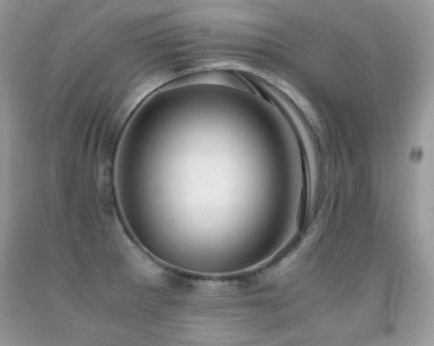 X0000091921281200709051432