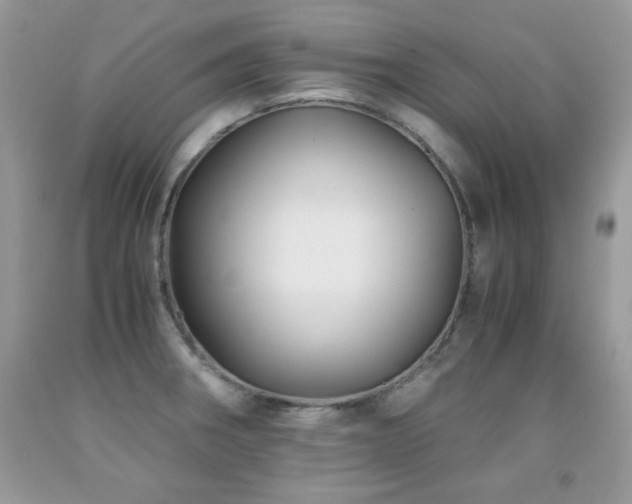 X0000091921282200709051432