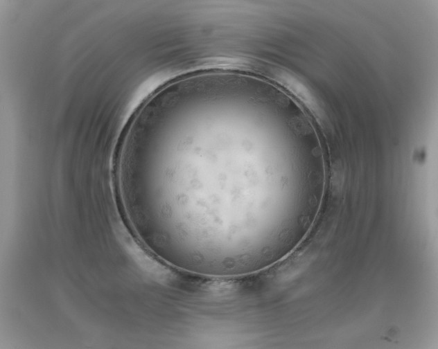 X0000091921283200709051432