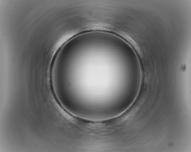 X0000091921285200709051432