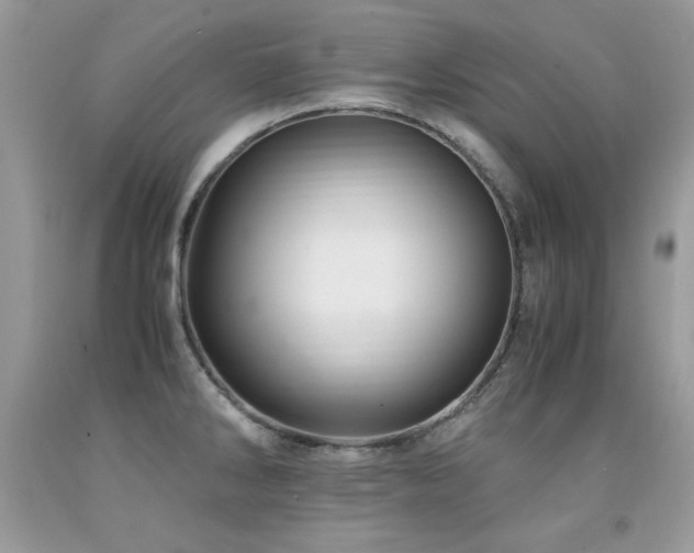 X0000091921286200709051432