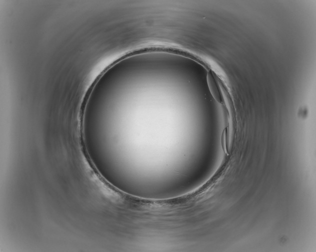 X0000091921287200709051432