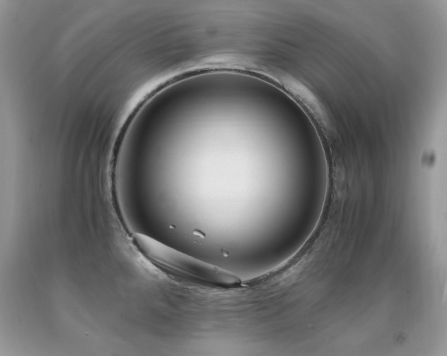 X0000091921288200709051432