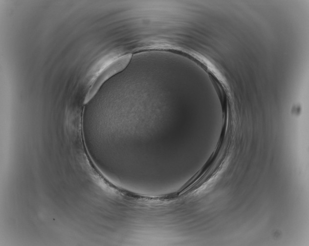 X0000091921289200709051432