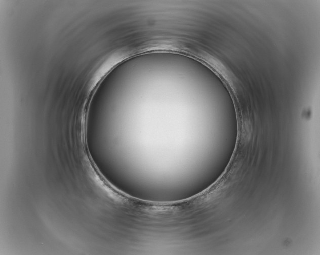 X0000091921290200709051432