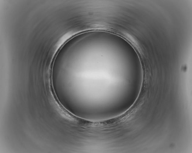 X0000091921291200709051432
