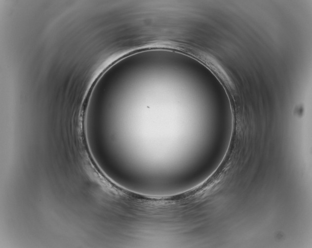 X0000091921292200709051432