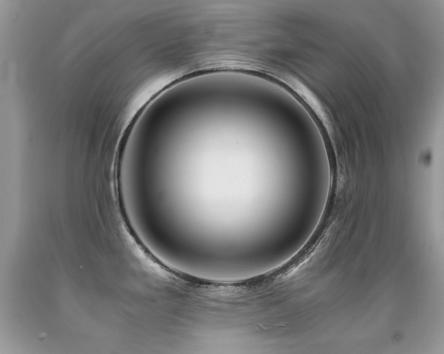 X0000091921293200709051432