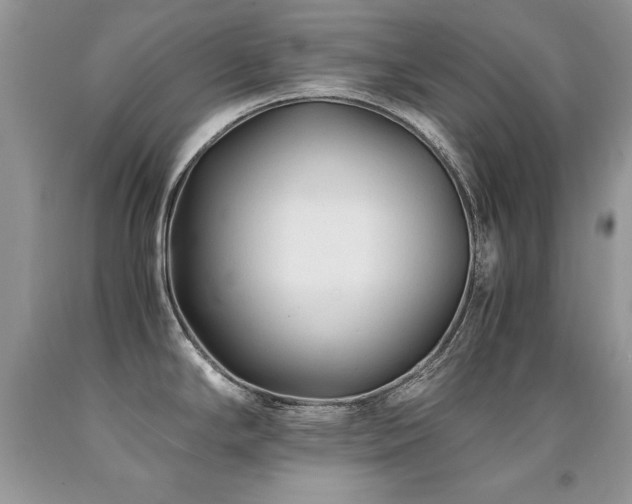 X0000091921294200709051432