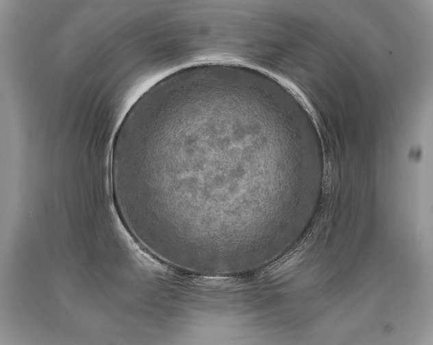 X0000091921295200709051432