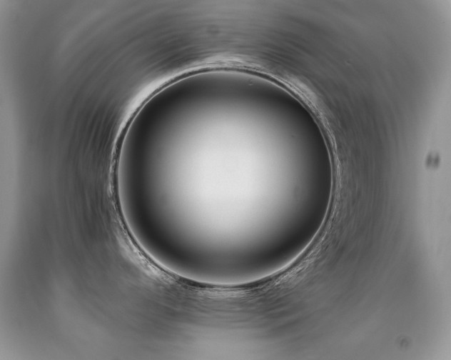 X0000091921296200709051432