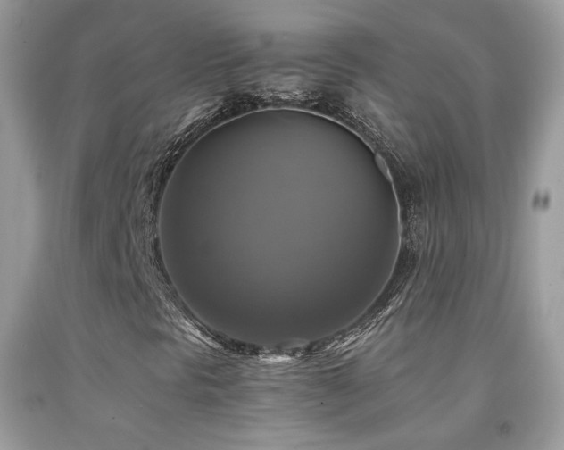 X0000091921297200709051431