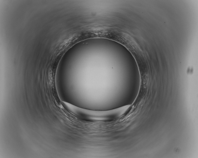 X0000091921298200709051431