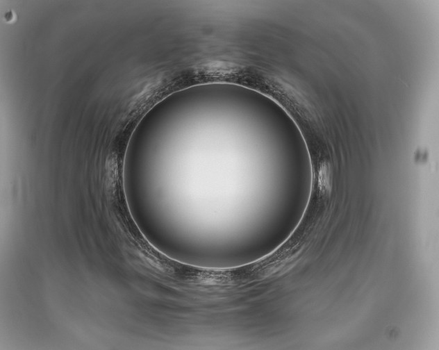X0000091921299200709051431