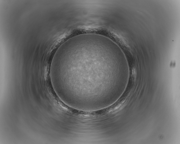X0000091921300200709051431