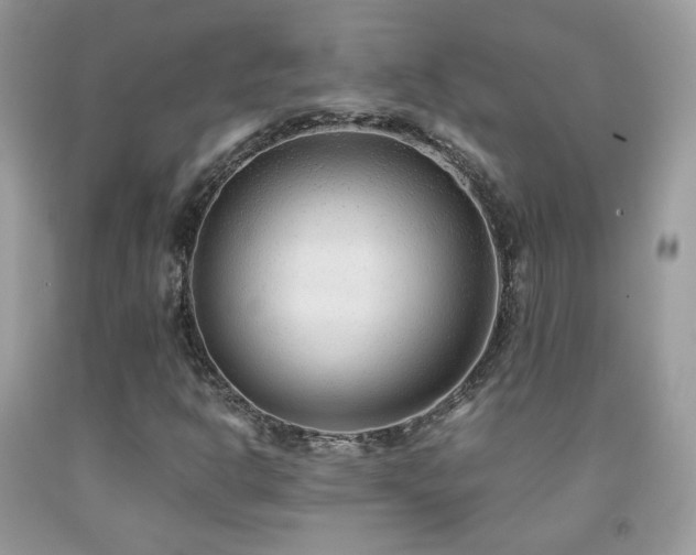 X0000091921302200709051431