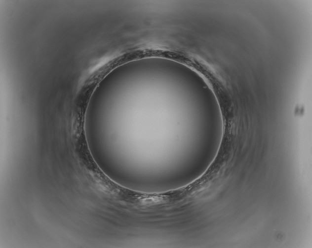 X0000091921303200709051431
