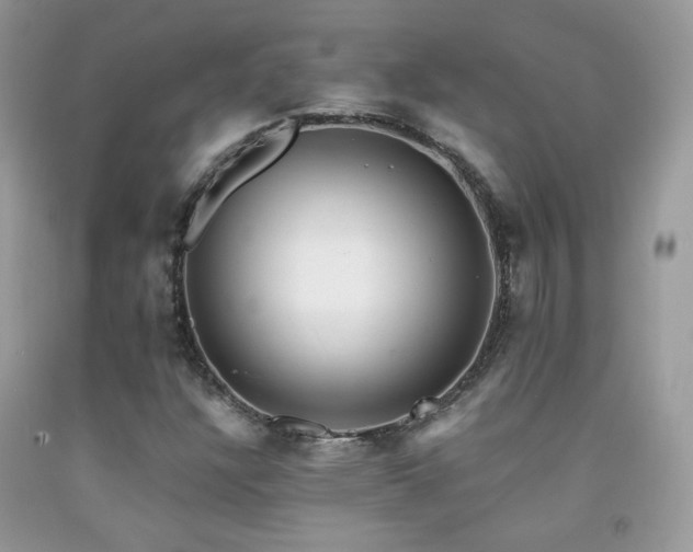 X0000091921304200709051431