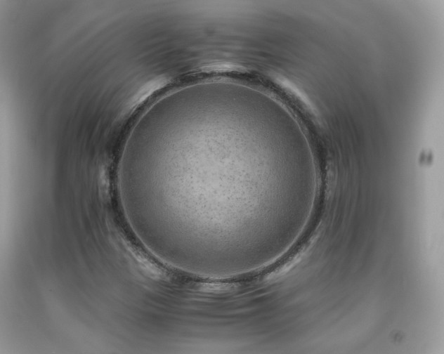 X0000091921305200709051431