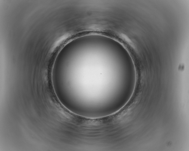 X0000091921307200709051431