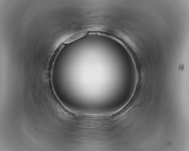 X0000091921308200709051431