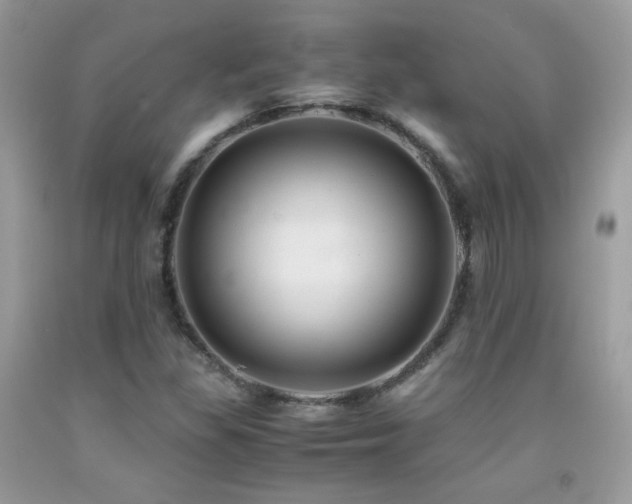 X0000091921309200709051431