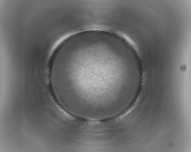 X0000091921310200709051431