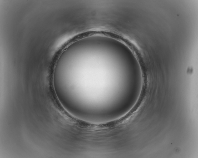 X0000091921311200709051431