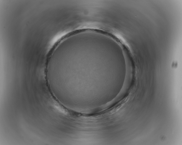 X0000091921312200709051431