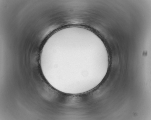 X0000091921314200709051431