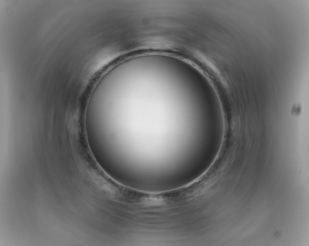 X0000091921315200709051431