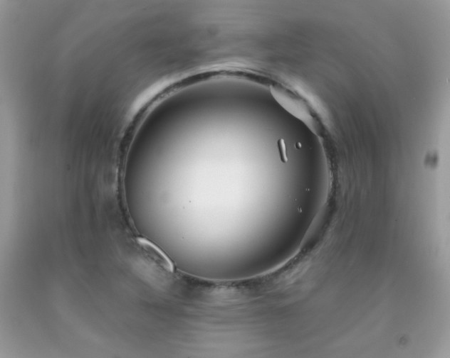 X0000091921316200709051431