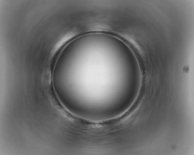 X0000091921317200709051431