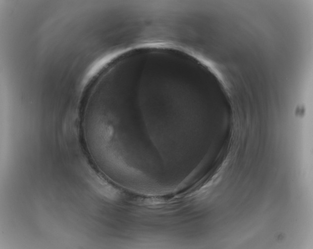 X0000091921319200709051431
