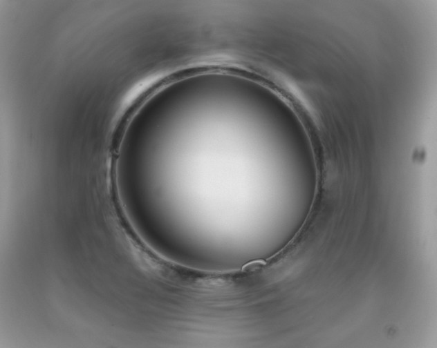 X0000091921320200709051431