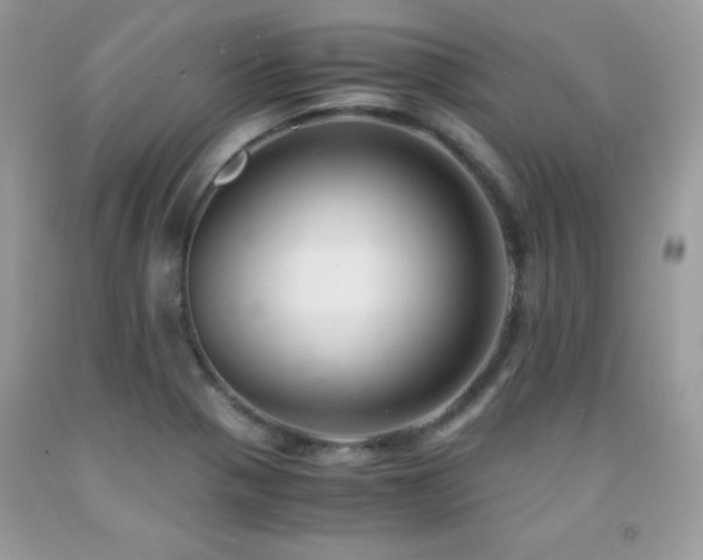 X0000091921321200709051431