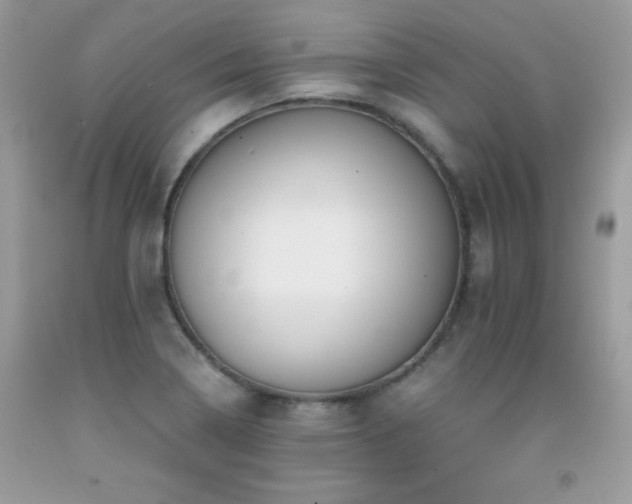 X0000091921322200709051431