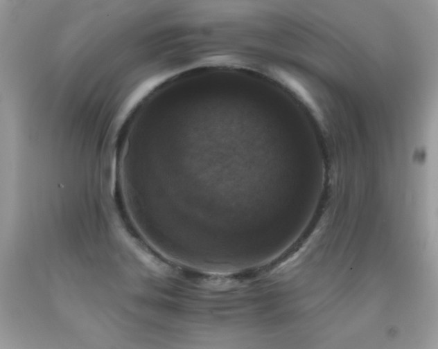 X0000091921323200709051431