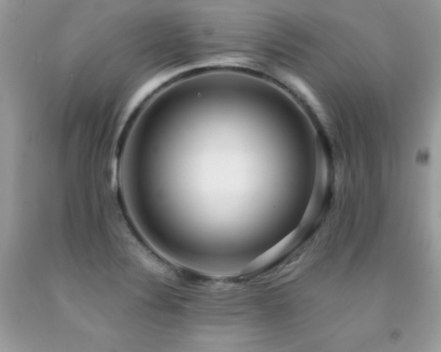 X0000091921324200709051431