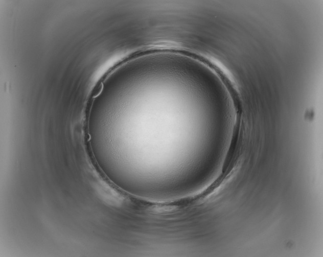 X0000091921325200709051431