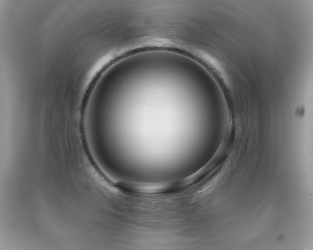 X0000091921326200709051431