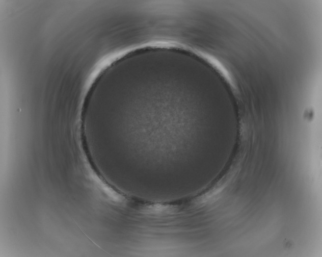 X0000091921327200709051431