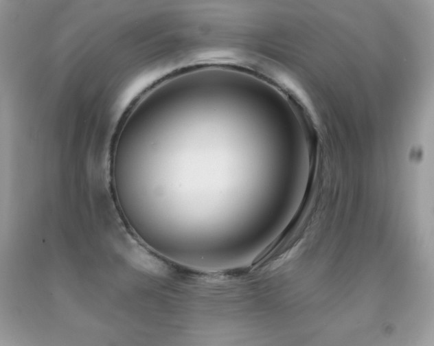 X0000091921328200709051431
