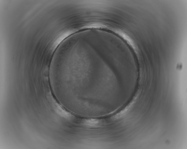 X0000091921329200709051432