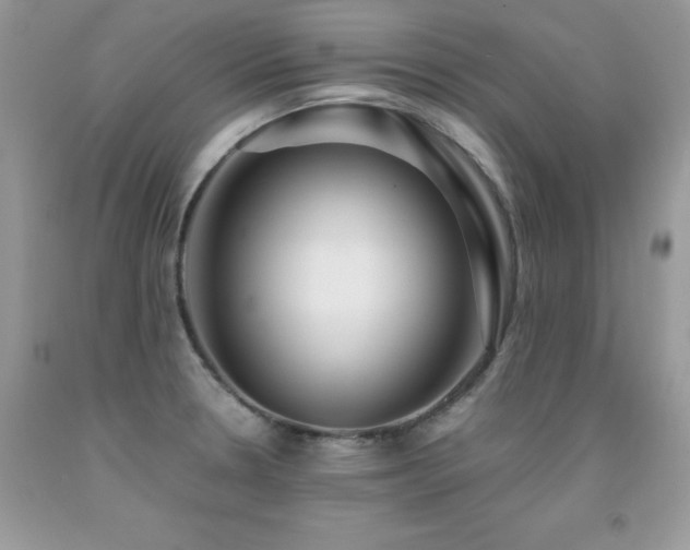 X0000091921330200709051432