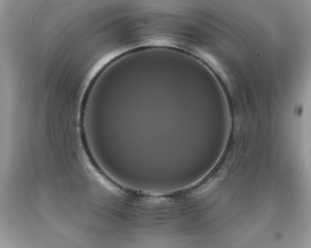X0000091921331200709051432