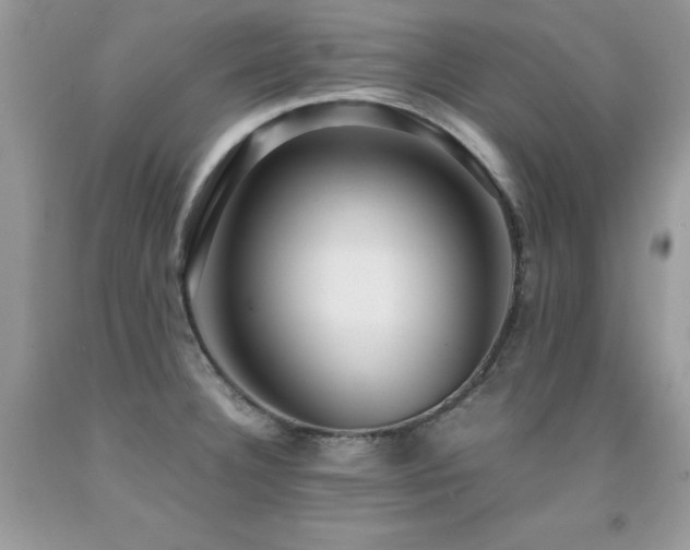 X0000091921332200709051432
